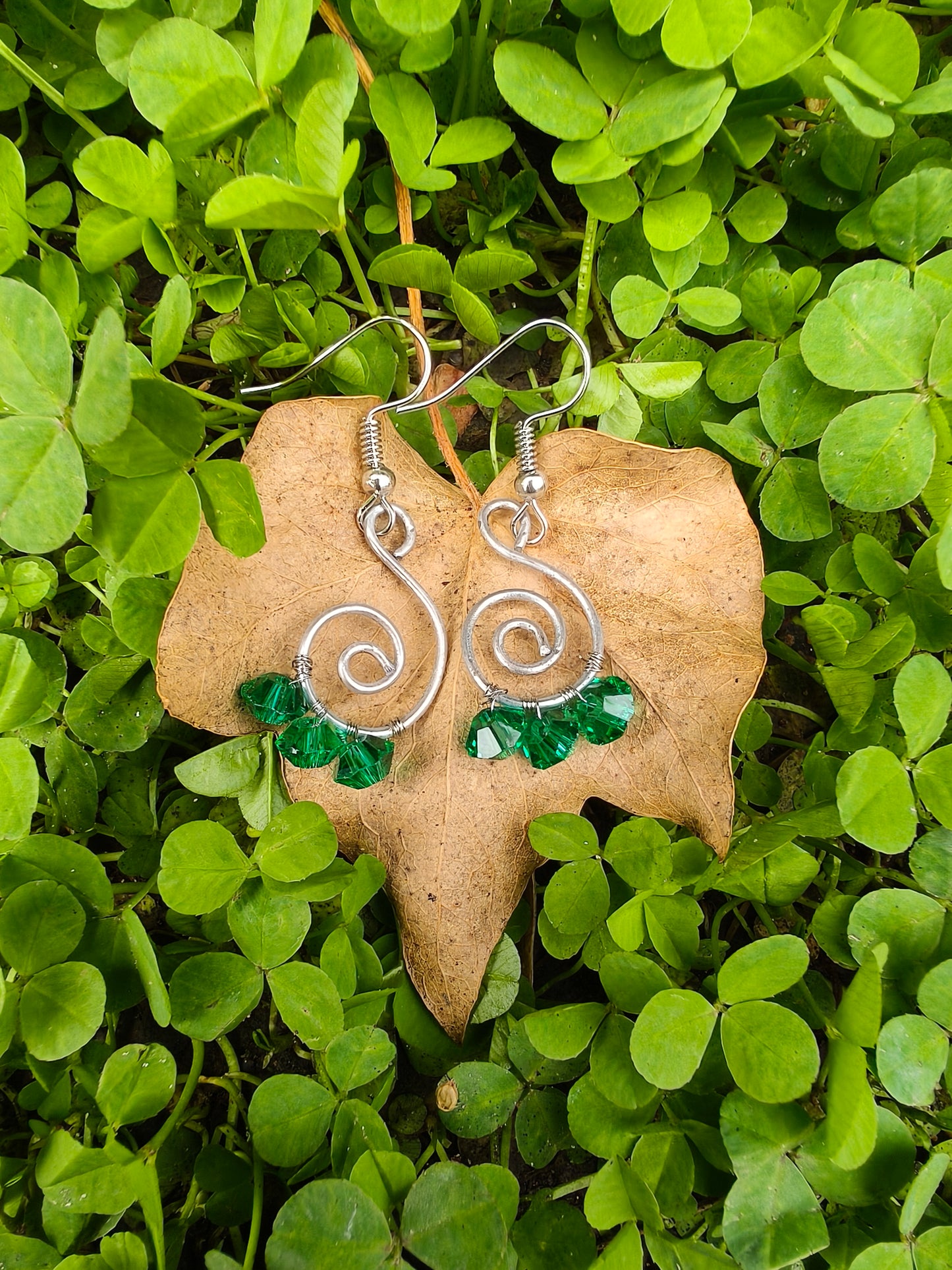 Earrings - Sylvan Spiral
