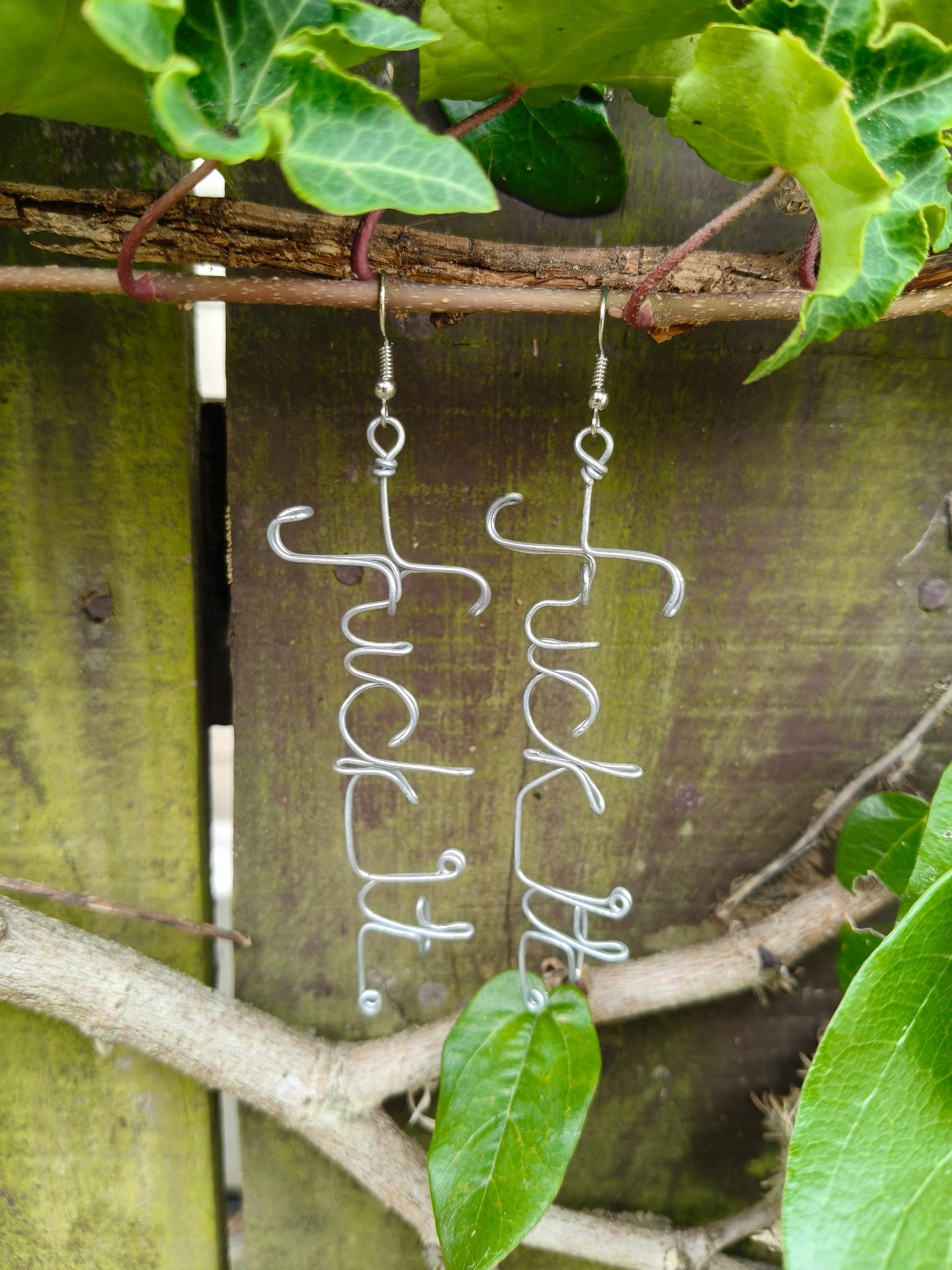 Earrings - F'it
