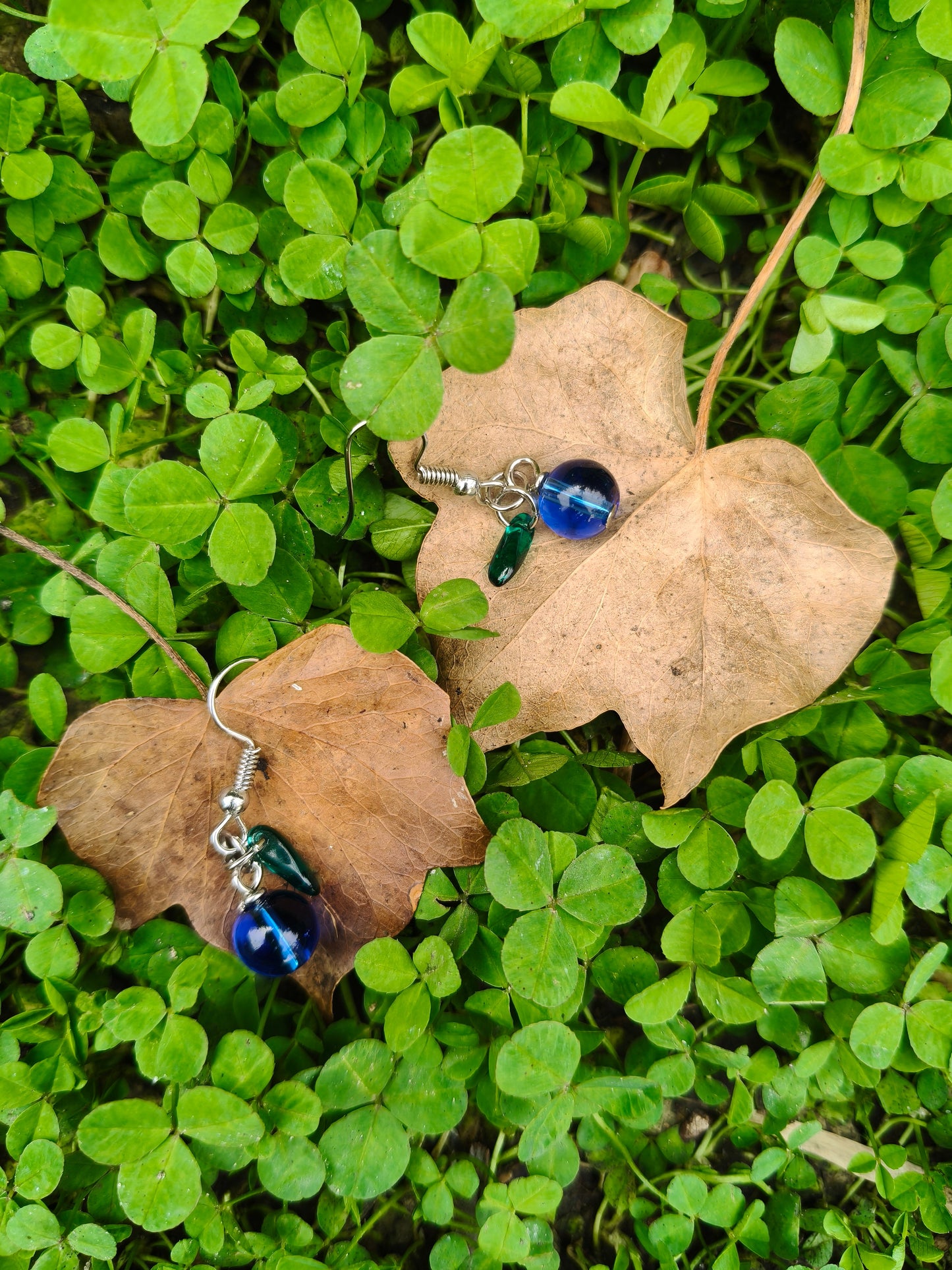 Earrings - Fruity Collection