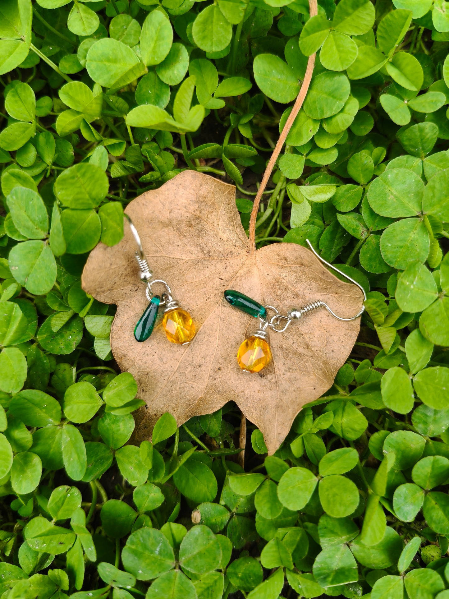 Earrings - Fruity Collection